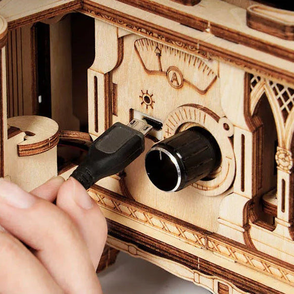Classic Gramophone 3D Wooden Puzzle