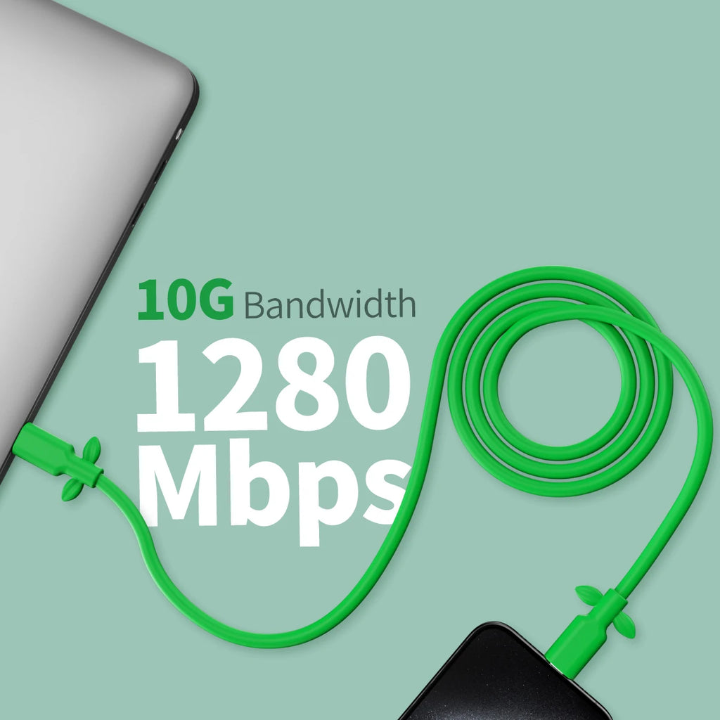 USB-C Fast Charging 4K 30Hz Video Data Cable - Vine