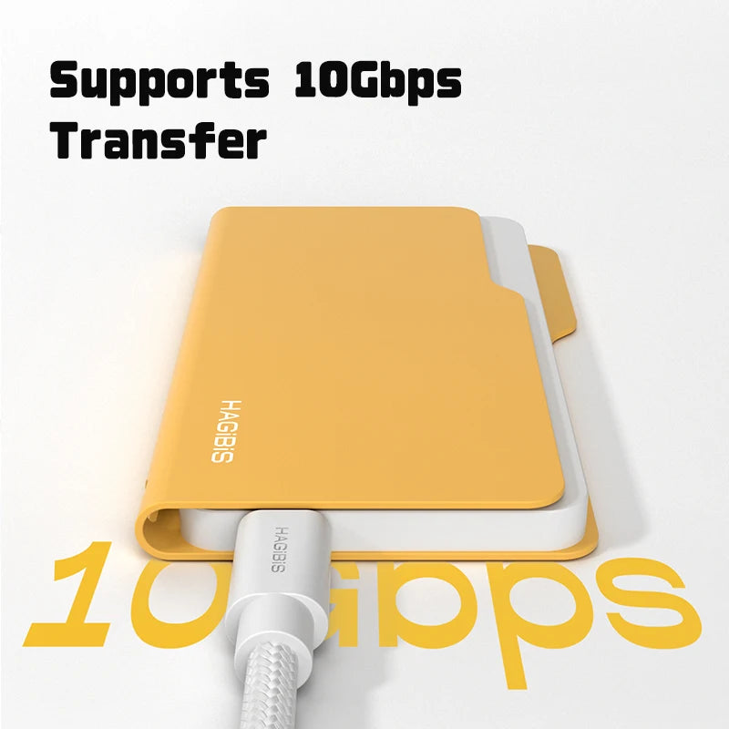 Hagibis Folder Style SSD Enclosure