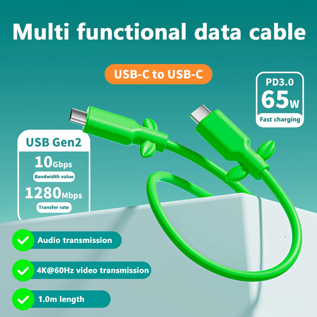 USB-C Fast Charging 4K 30Hz Video Data Cable - Vine