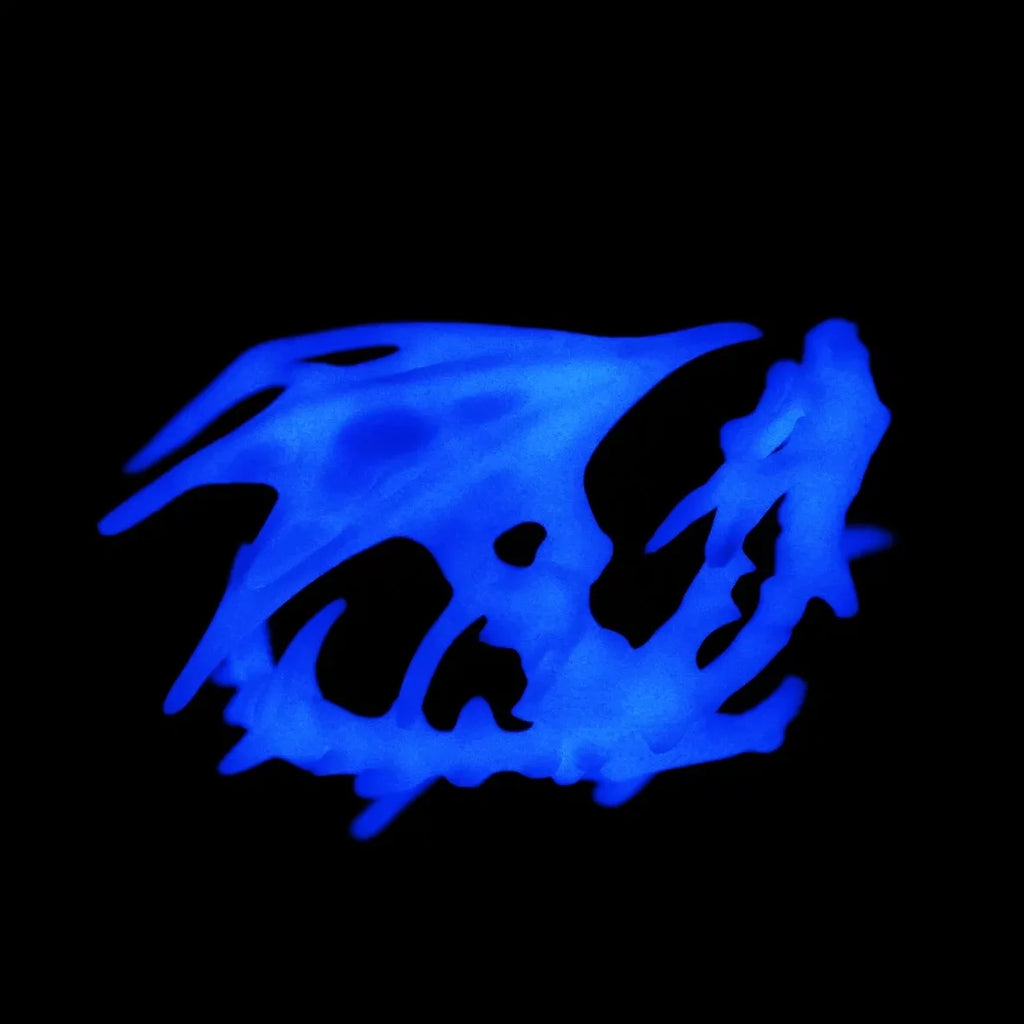 Dragon Skeleton AirPods Case Glow in the Dark