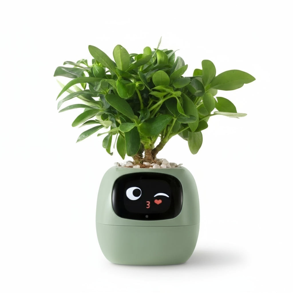 Ivy Tuya Smart Planter