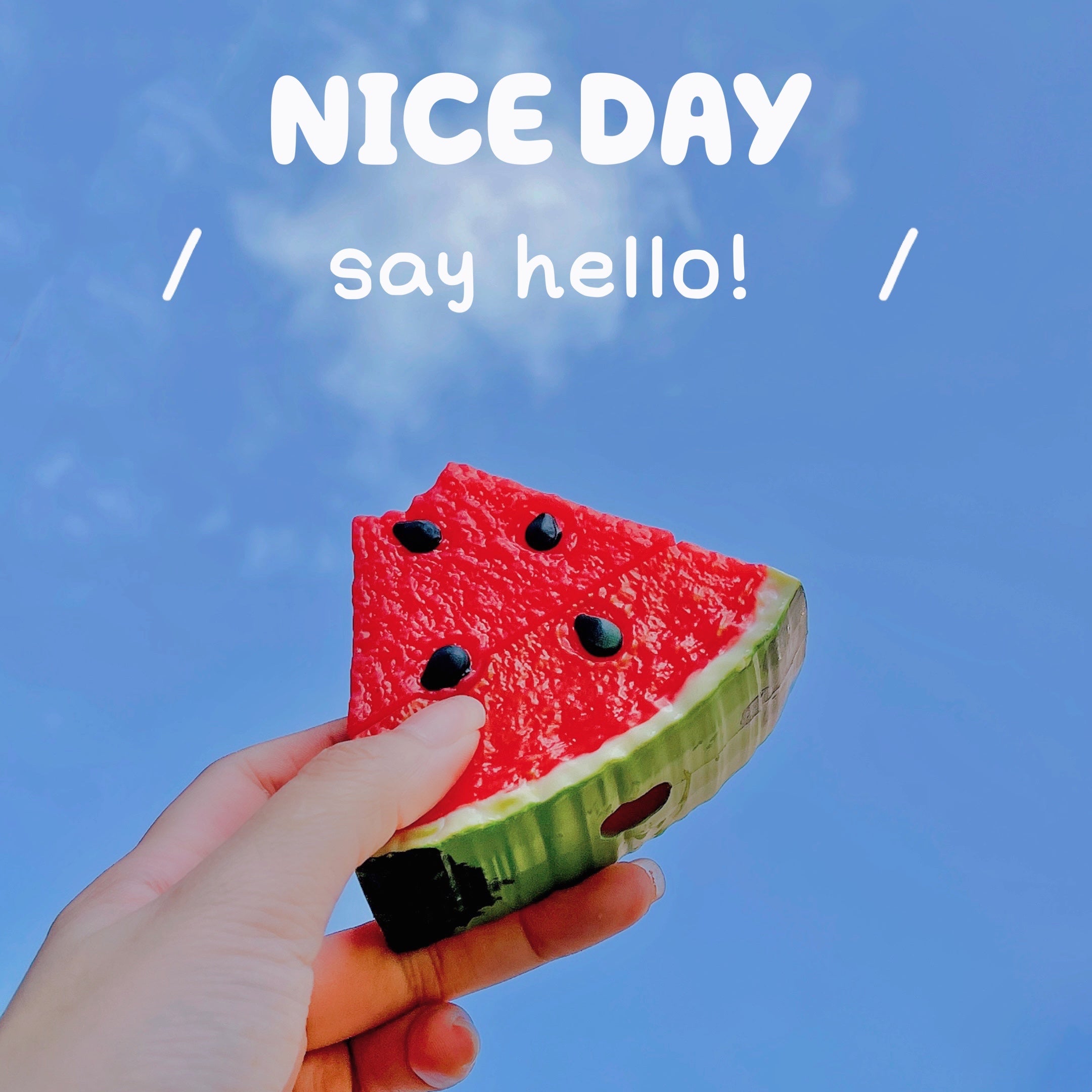 3D Watermelon AirPods Case Silicone